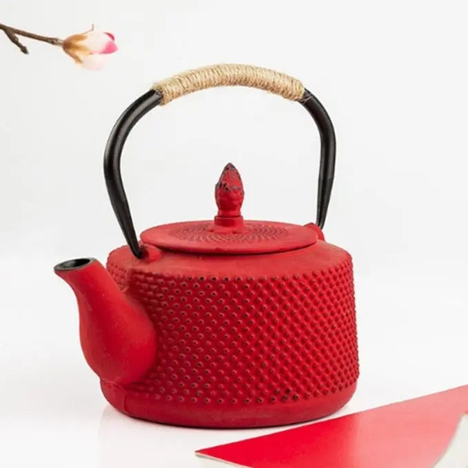 theiere-japonaise-en-fonte-colore-850ml