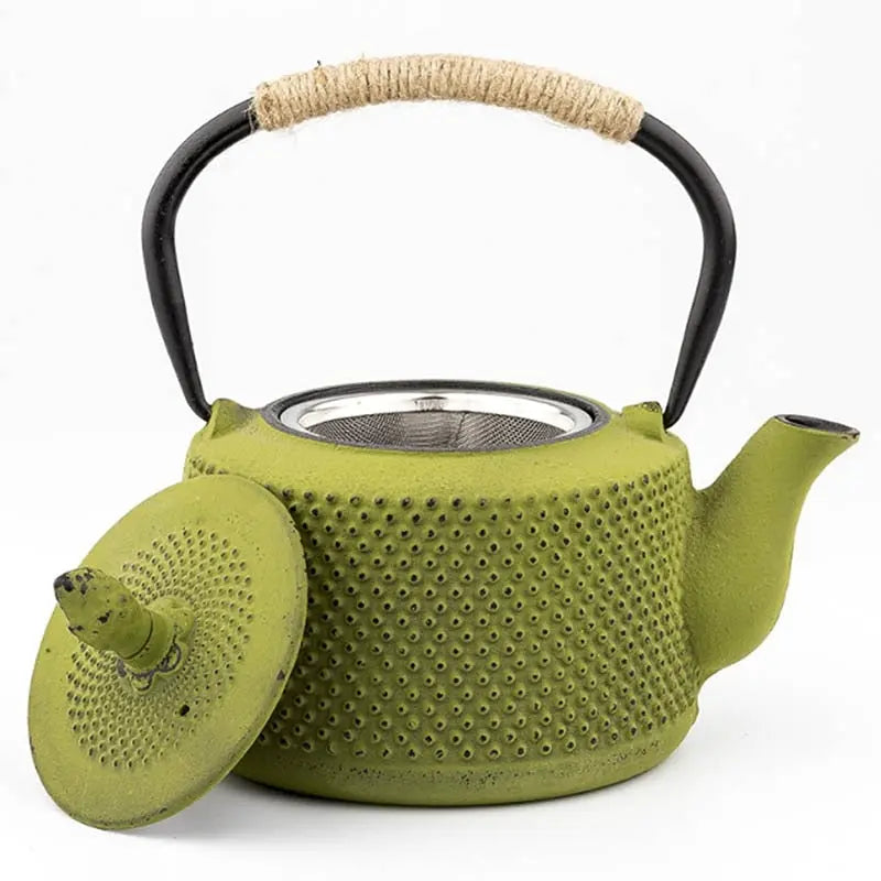 Théière Japonaise en Fonte Colorée 850 ml - Édition Signature