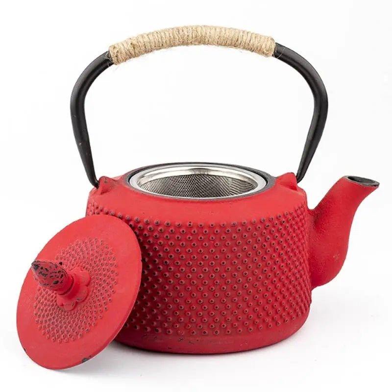Théière Japonaise en Fonte Colorée 850 ml - Édition Signature