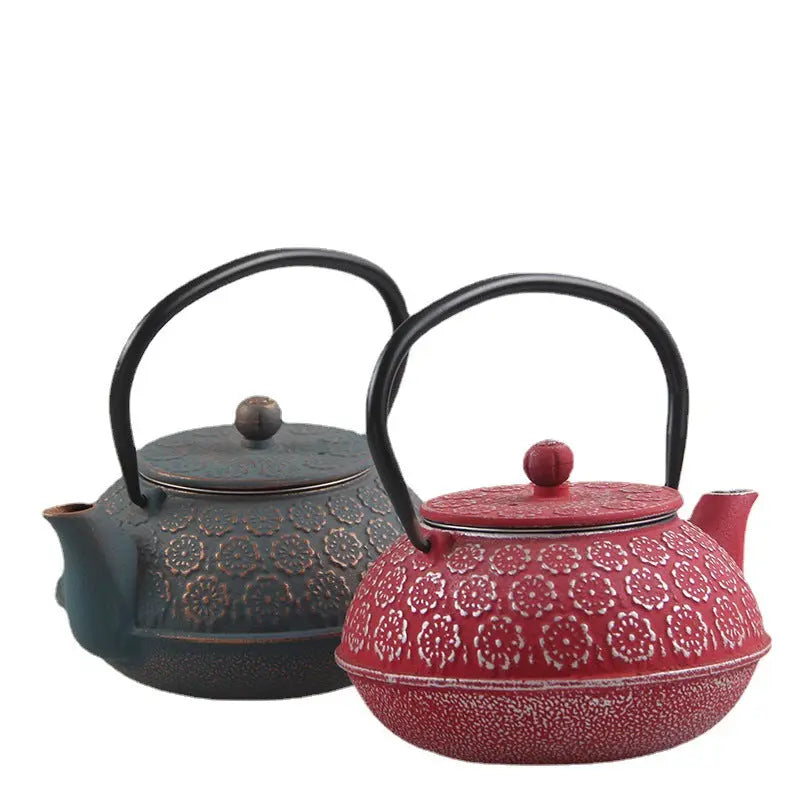 ZenLeaf Théière Japonaise en Fonte – Motifs Fleurs en Relief 600ml