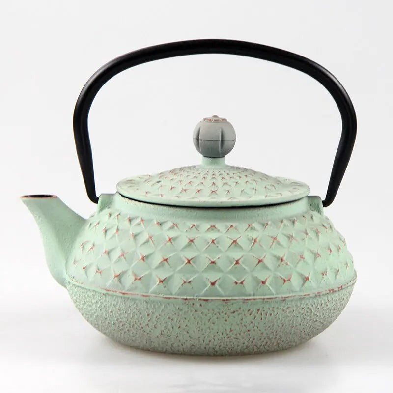 theiere-japonaise-en-fonte-avec-des-piques-600ml
