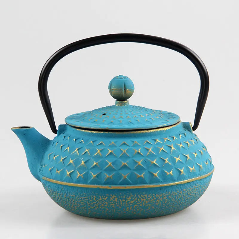 Théière Japonaise en Fonte – 600 ml – avec Piques