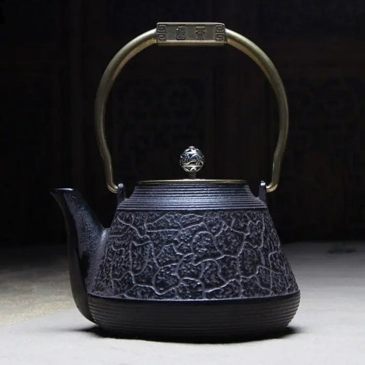 theiere-japonaise-ancienne-en-fonte-1-3l