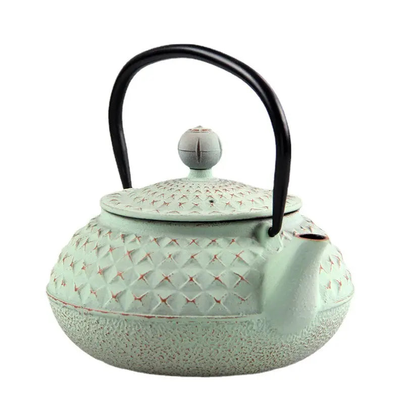 Théière Japonaise en Fonte – 600 ml – avec Piques